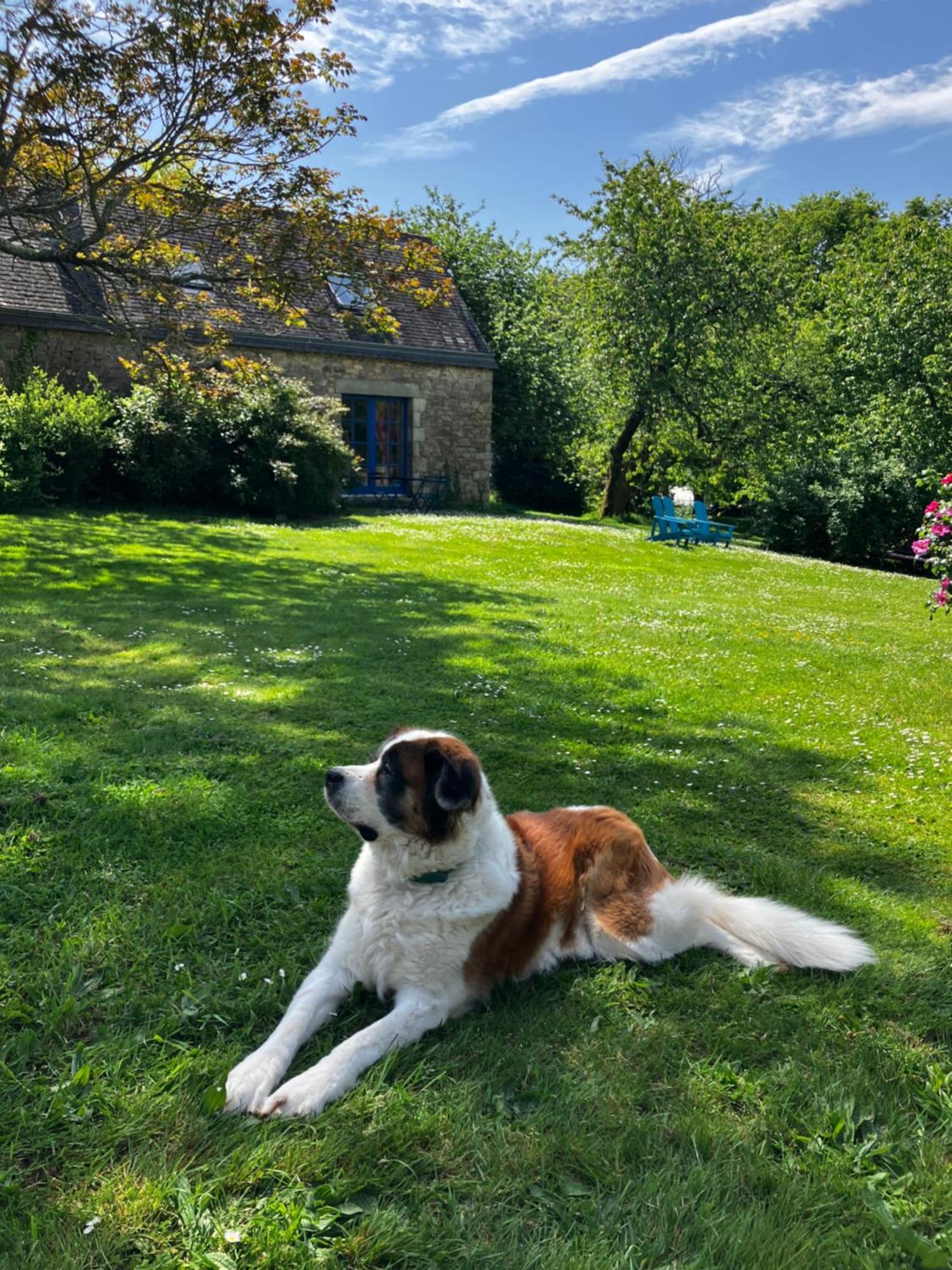 Ar Couette Bed & Breakfast Bono Dış mekan fotoğraf
